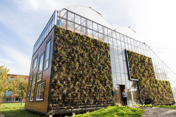 Вертикальное озеленение предохраняет жилище от перегрева и украшает фасад CHIBB. | Фото: homedesignlover.com.