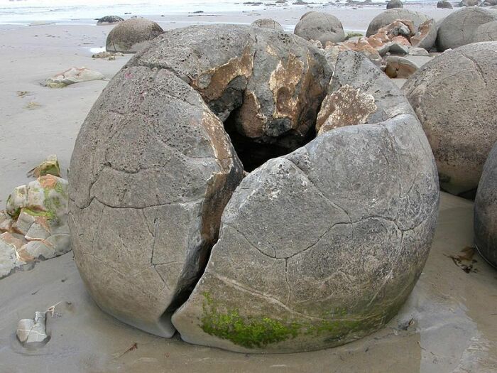 Очень много каменных шаров разбили местные жители, считая, что в них спрятано золото. | Фото: animalworld.com.ua.