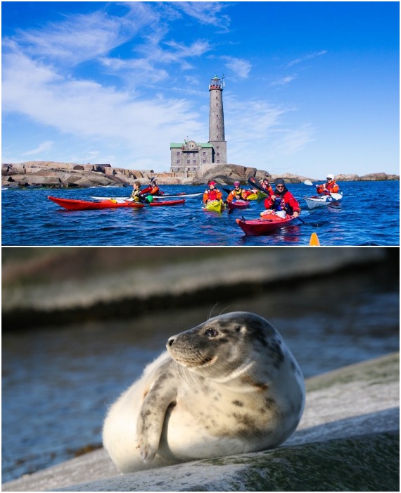 На острове есть чем заняться и с кем «пообщаться» (Bengtskar Lighthouse Hotel, Финляндия).