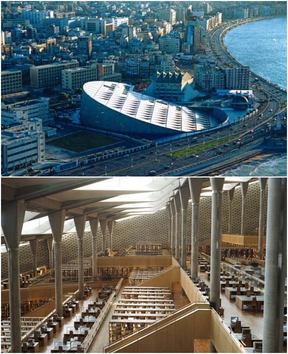 Библиотечные фонды Александрины спрятаны под землей, а вот поработать можно в огромном читальном зале со стеклянным потолком (Египет).