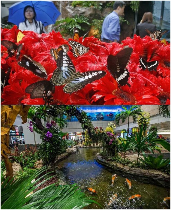 Jewel Changi может похвастаться 15 тематическими парками, среди которых имеется Сад бабочек и водоемы с золотыми карпами.