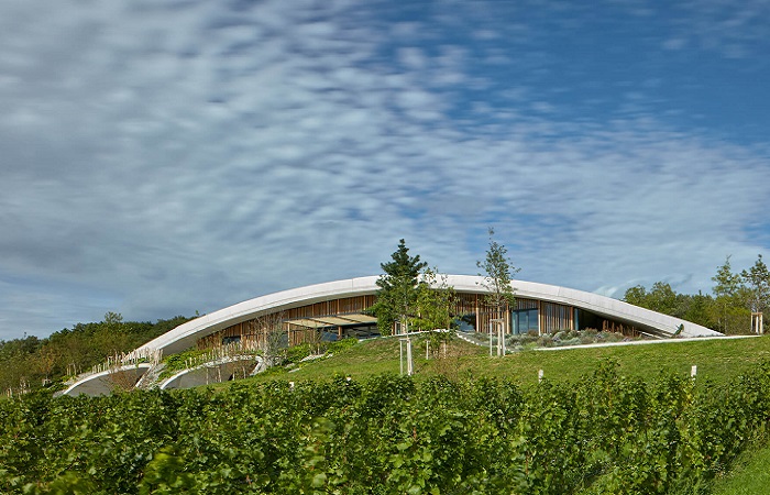 Извилистые линии и зеленая крыша позволили «растворить» масштабный архитектурный объект (винодельня Гурдау, Чехия). | Фото: arch2o.com.