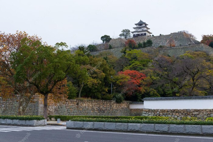 Территория Замка Маругаме порадует посетителей архитектурой, парком с сотнями вишневых деревьев, небольшим зоопарком и игровой площадкой для детей (Япония). | Фото: ja.japantravel.com.