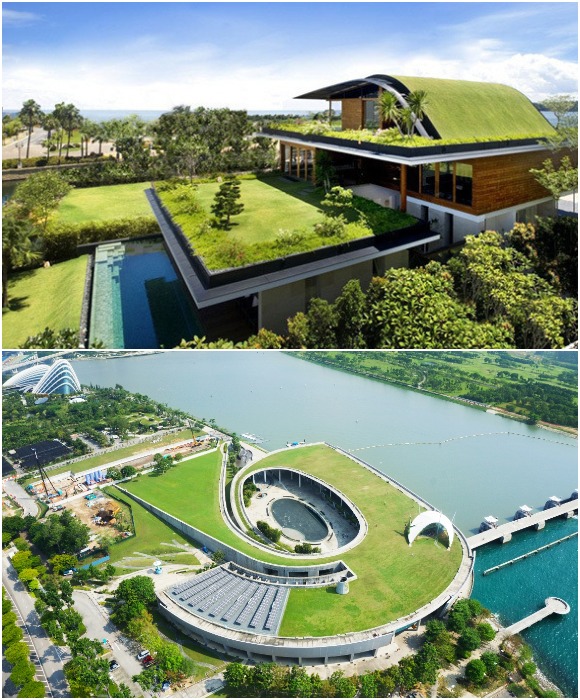 «Зеленая» крыша станет эффектным дополнением и частному дому, и к общественному пространству.