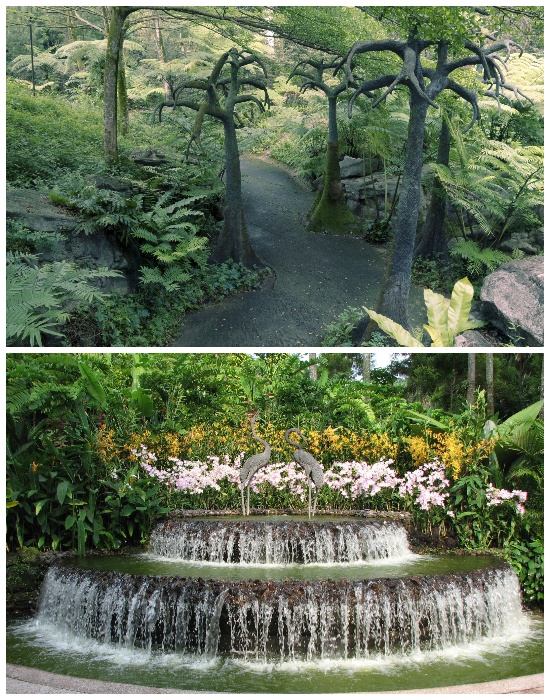Сингапурский ботанический сад ежегодно посещает несколько миллионов туристов (Singapore Botanic Gardens). | Фото: lifter.com.ua.