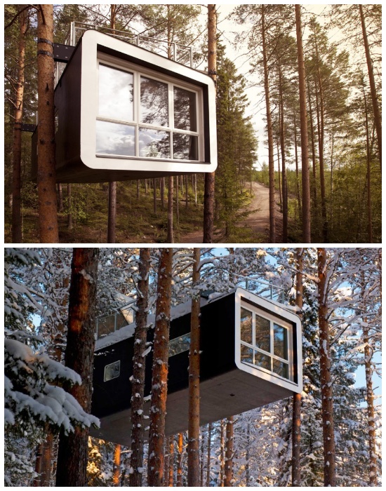 Бунгало «Cabin» расположено на высоте 4,5 метров над землей (эко-отель Treehotel, проект студии Cyren & Cyren). | Фото: sergeybond.livejournal.com. 