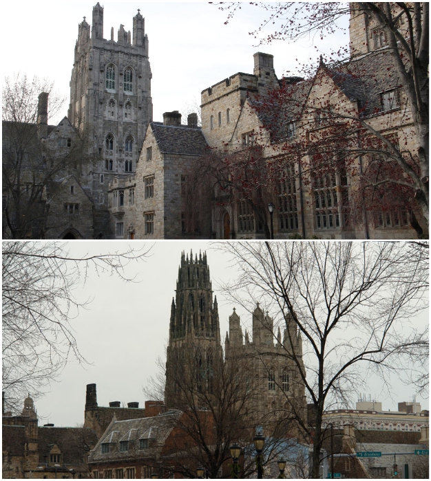 Yale University – один из наиболее престижных университетов мира (Нью-Хейвен, США).
