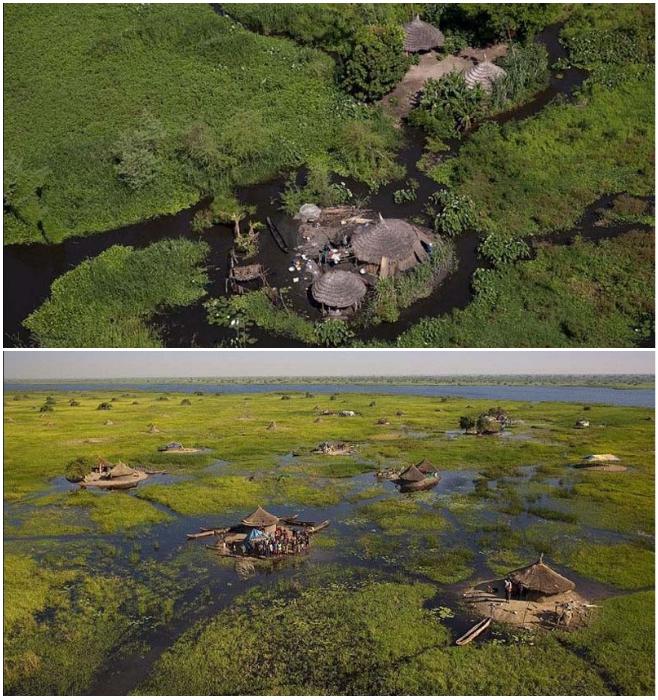 Африканское племя научилось строить на дрейфующих островах небольшие домики «тукул» (болото Судд, Южный Судан). | Фото: macos.livejournal.com/ lemurov.net.