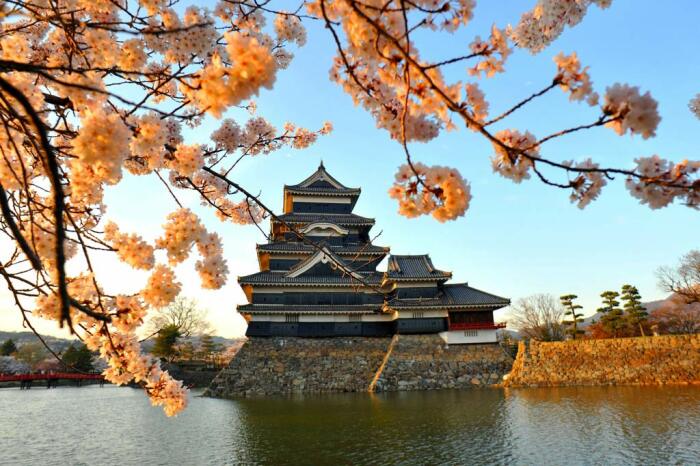 Особенно популярным Замок Мацумото становится во время пышного цветения сакуры (Япония). | Фото: wallpaper-hit.blogspot.com.