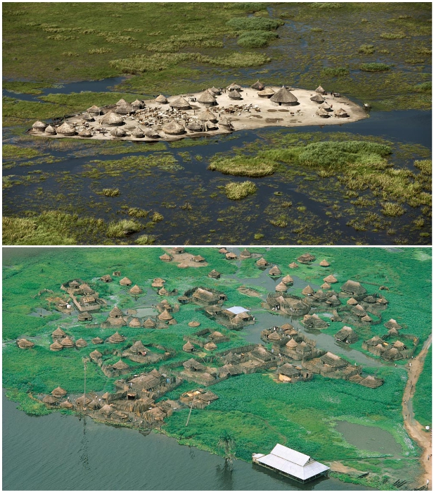 Несмотря на тяжелую и опасную жизнь, племя нуэр молится о сохранении болота своим богам (болото Судд, Южный Судан). | Фото: curious-world.ru. 