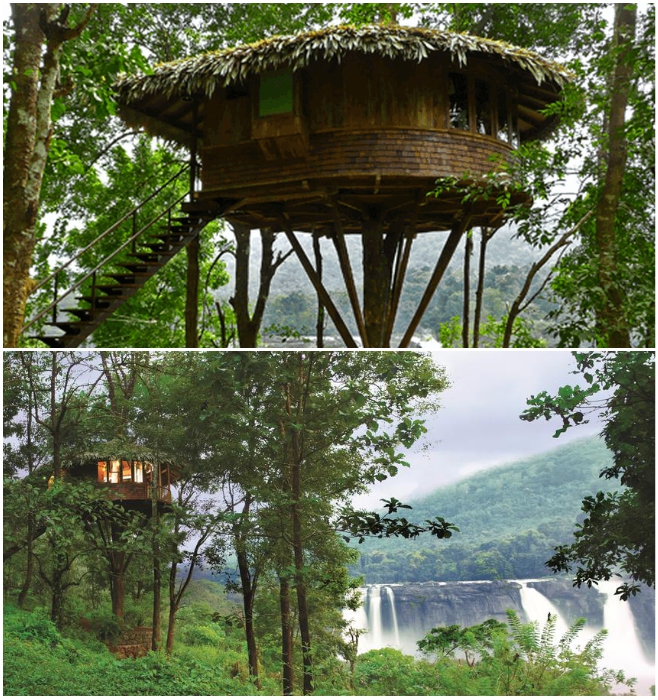 Домик на дереве среди девственного тропического леса возле водопада Атираппилли (Индия). | Фото: rainforest-boutique-resort.kerala-hotels.