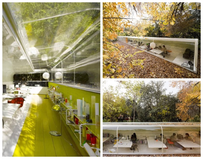 Офис архитектурного бюро Selgas Cano расположен посреди парковой зоны под кронами деревьев (Мадрид, Испания).