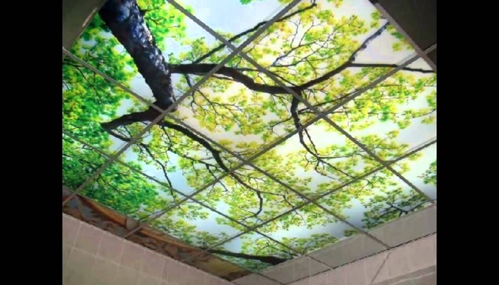 Визуально раздвинуть потолок можно с помощью 3D эффекта.