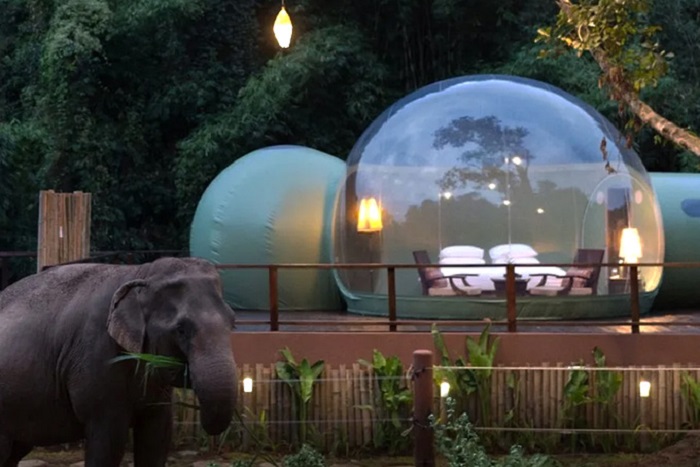 «Anantara Golden Triangle Elephant Camp & Resort» (Таиланд). | Фото: goldenemperor.com.