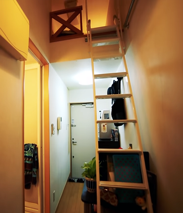С помощью приставной лестницы можно попасть в спальню. | Фото: youtube.com.