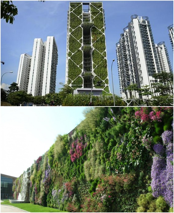Ведущие архитекторы и девелоперы давно осознали, что экологически ответственные здания лучше всего способствуют устойчивому и продуманному образу жизни. 