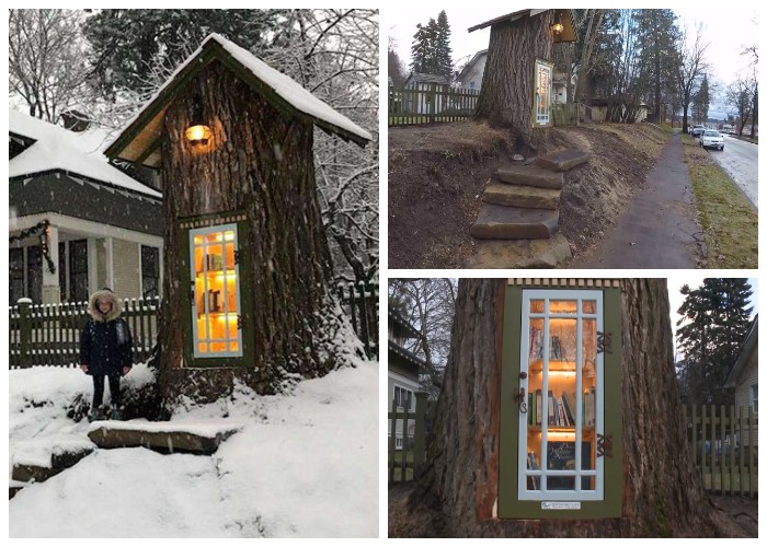 Шерели Армитадж Говард сделала из строго дерева бесплатную библиотеку (Кер-д'Ален, США).