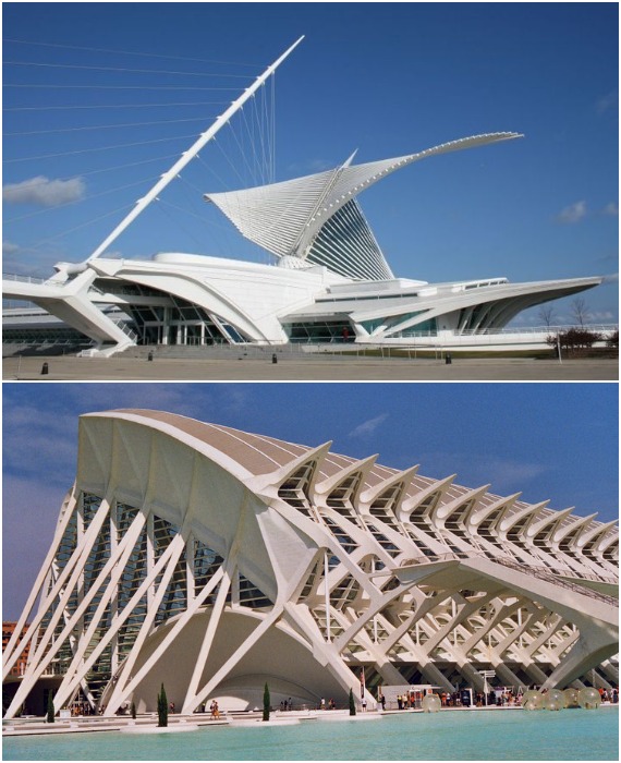 Наибольших результатов в продвижении бионики в архитектуру достиг Сантьяго Калатрава – талантливейший архитектор, скульптор и инженер, создавших множество динамичных проектов, способствующих максимальной защите внутреннего пространства от перегрева.
