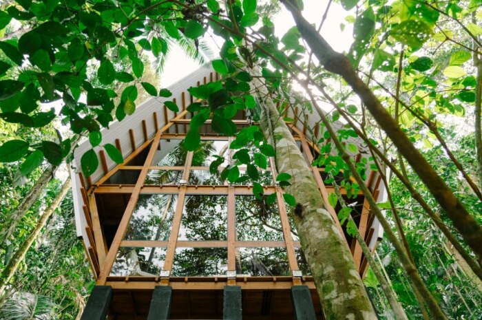 Лесной дом стал прекрасным дополнением к роскошной природе тропических джунглей (Monkey House, Бразилия). | Фото: whatdesigncando.com.