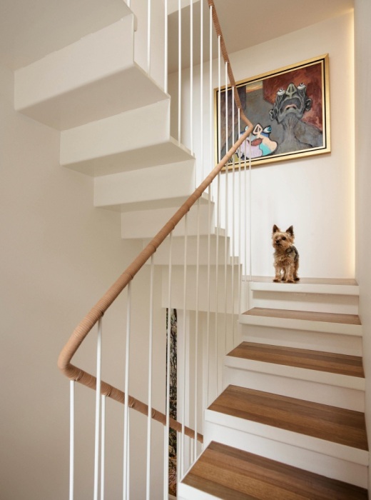 Домашнему любимцу тоже есть где разгуляться (JB Green, Сидней). | Фото: casavogue.globo.com. Домашнему любимцу тоже есть где разгуляться (JB Green, Сидней). | Фото: casavogue.globo.com.