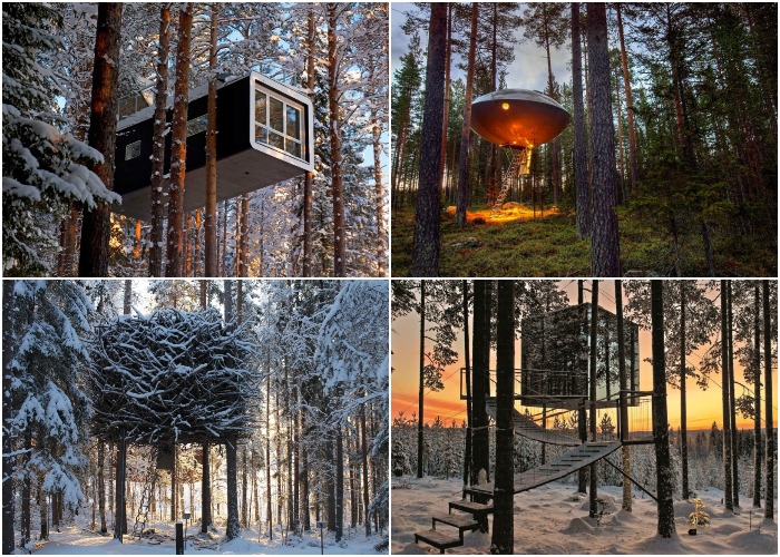 Неординарные отельные номера в виде домиков на дереве можно увидеть на территории эко-гостиницы Treehotel (Швеция). 