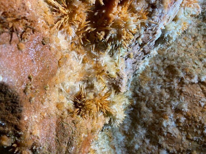 Главной достопримечательностью Skyline Caverns являются арагониты, представляющие собой необычной формы кристаллы (Front Royal, США). | Фото: virginiatraveltips.com.