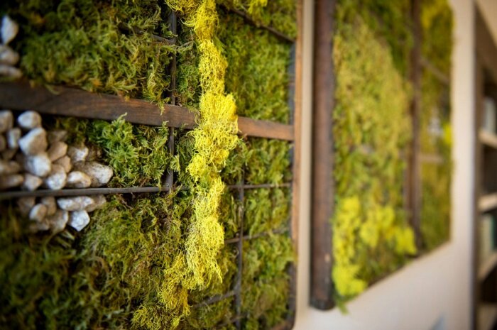 Внутри дома создали «живые» панно, что делает обстановку более привлекательной (Domus Civita, Италия). | Фото: luxury-house.org.