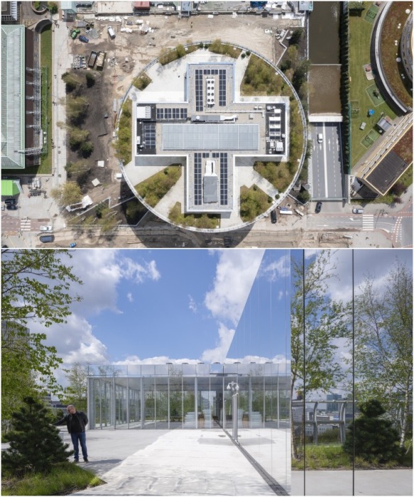 На крыше нового музея построен зеркальный ресторан и высажен березовый лес (Depot Boijmans Van Beuningen, Роттердам).