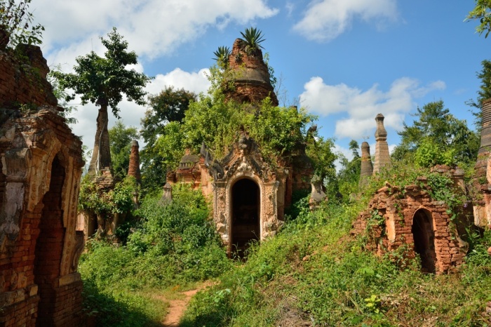 Большинство пагод «взяты в плен» буйной растительностью (деревня Индейн, Мьянма). | Фото: tourisminmyanmar.com.mm.