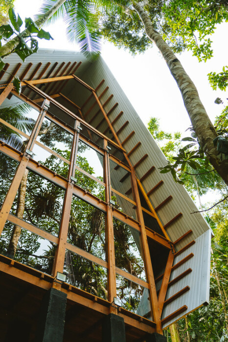 Загородную резиденцию установили на опоры, чтобы минимизировать воздействие на окружающую среду (Monkey House, Бразилия). | Фото: whatdesigncando.com.