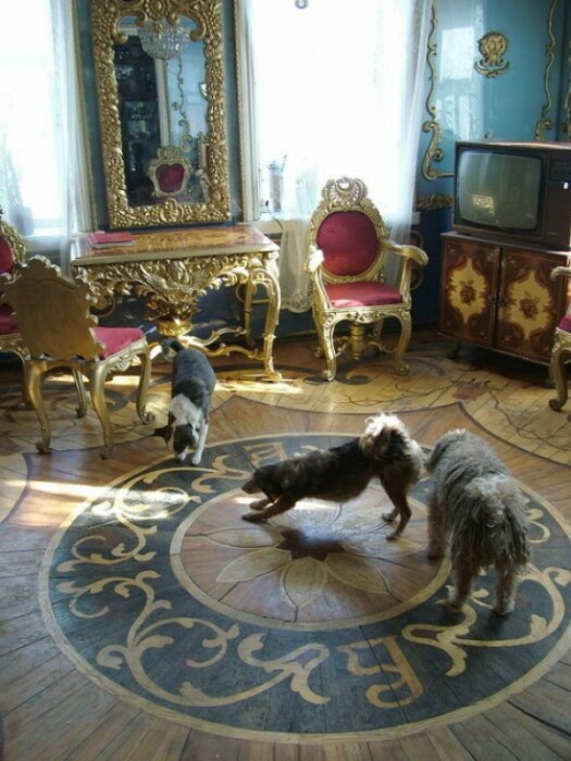 Инкрустированный паркет в гостиной дома Акулова понравился и собакам. | Фото: forum.violity.com.