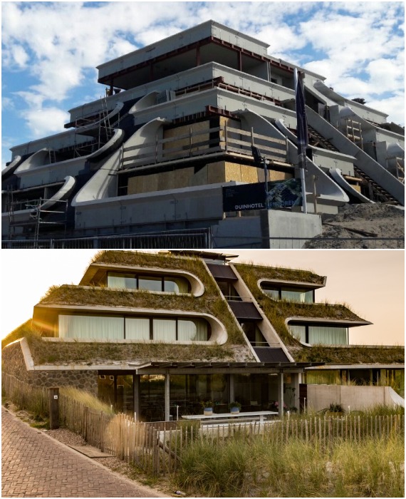 Бетонный фасад покрыли несколькими слоями различных материалов, песка и высадили семена дюнных трав, которые украсят отель и сделают его более энергоэффективным (Duinhotel Tien Torens, Zoutelande).