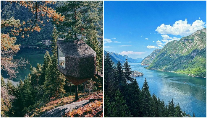 Помимо реализации детской мечты, пожить в домике на дереве, посетителям доступна умопомрачительная красота норвежской природы (Woodnest, Норвегия).