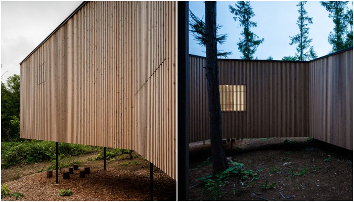 Чтобы сохранить рельеф и лесную подстилку, масштабную резиденцию установили на высоких стальных сваях (House in the Forest, Япония).