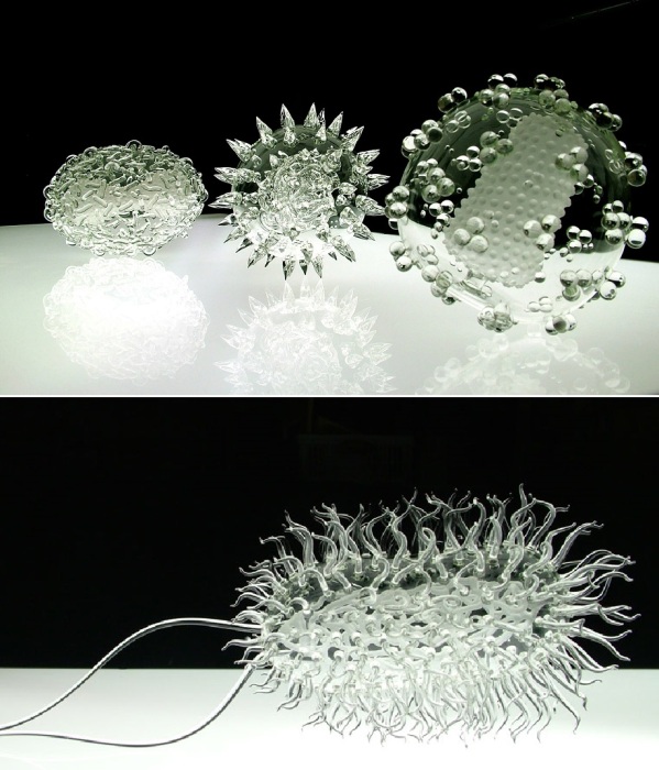 Коллекция Glass Microbiology обрела популярность в медицинских и научных кругах (работы Люка Джеррама).
