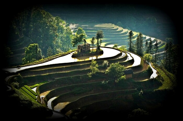 Главное храмовое сооружение всегда располагается на вершине ближайшего холма и окружено оно священными деревьями (Банауэ, Филиппины). | Фото: classlifestyle.com.