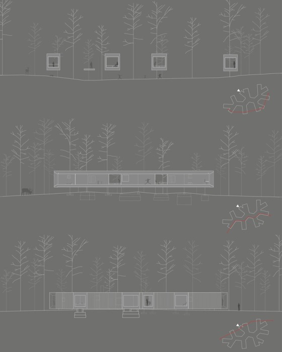 План-чертеж дома, ради строительства которого не пожертвовали ни одним большим деревом (House in the Forest, о. Хоккайдо). | Фото: architecturaldigest.in.