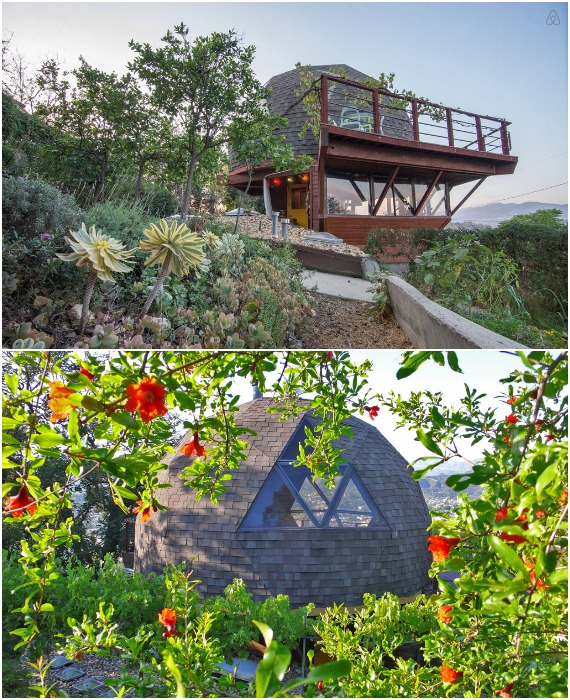 На участке высажены суккуленты, фруктовые сады и цветы, чтобы загородный отдых был полноценным (Geodesic Dome House, Лос-Анджелес).