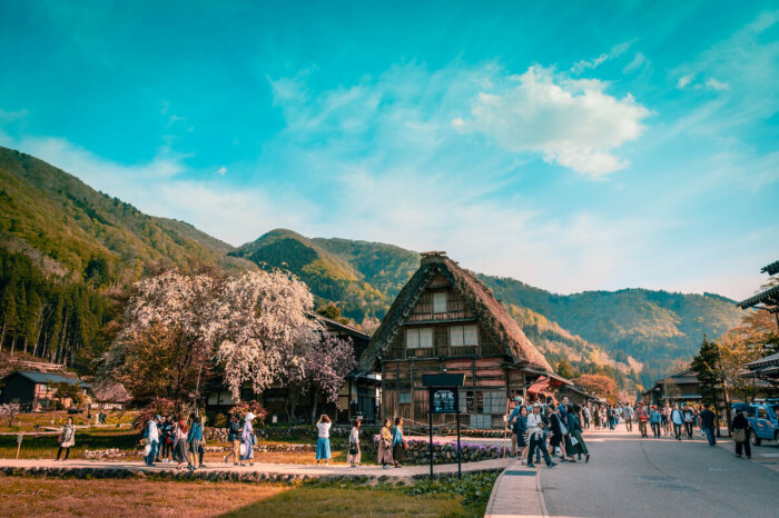 В период цветения сакуры горная деревня не менее привлекательна и многолюдна (Сиракава-го, Япония). | Фото: wallpapers.com.