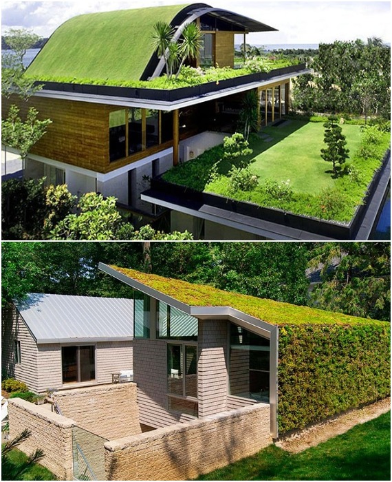 В современных реалиях «зеленые» крыши стали модным трендом. 