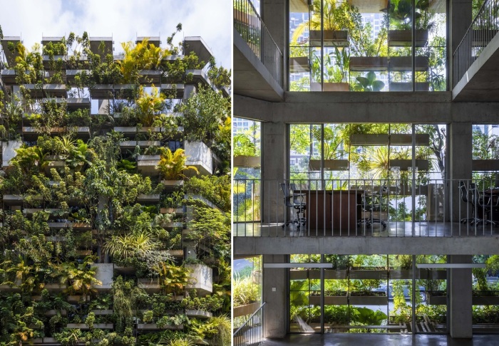 Масштабное озеленение стеклянного фасада позволит обеспечить рассеянным светом и максимально комфортным микроклиматом без задействования электрических приборов и оборудования (Urban Farming Office, Хошимин). 