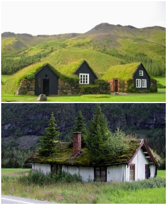 Наиболее распространены «зеленые» крыши были в странах Скандинавии, там они стали народной традицией.
