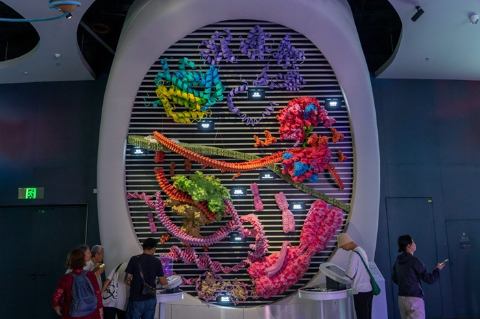 В Шэньчжэньском музее науки и технологий организован Медицинский музей (на фото гигантская модель желудочно-кишечного тракта человека). В Шэньчжэньском музее науки и технологий организован Медицинский музей (на фото гигантская модель желудочно-кишечного тракта человека).