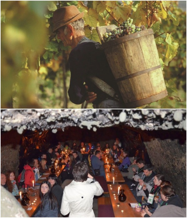 Кто-то из жителей Токайского региона, как и прежде занимается виноделием, а кто-то – развивает туристический бизнес (Tokaj-Hegyalja, Венгрия).