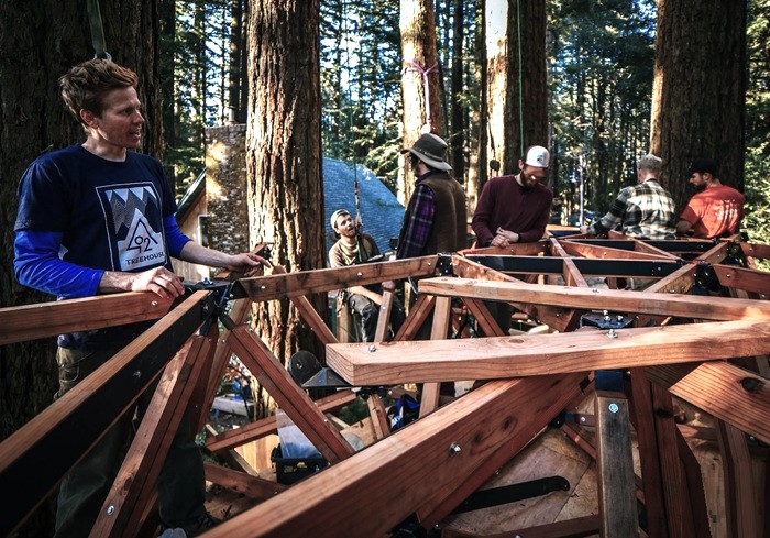 Разработана новая технология строительства. | Фото: treewalkers.world.