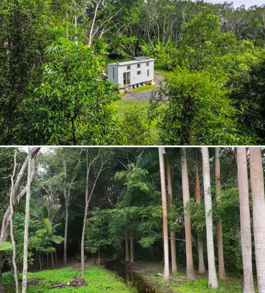 Дом строили в живописном лесном массиве (Нуса, Австралия). Дом строили в живописном лесном массиве (Нуса, Австралия).