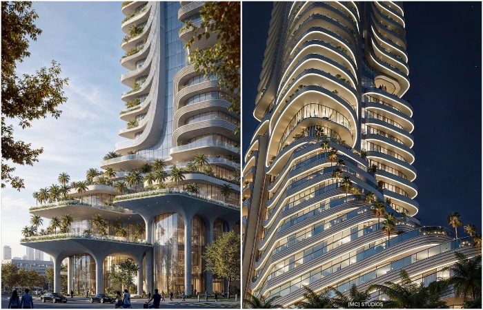 Пальмы растут даже на террасах и балконах. Пальмы растут даже на террасах и балконах.