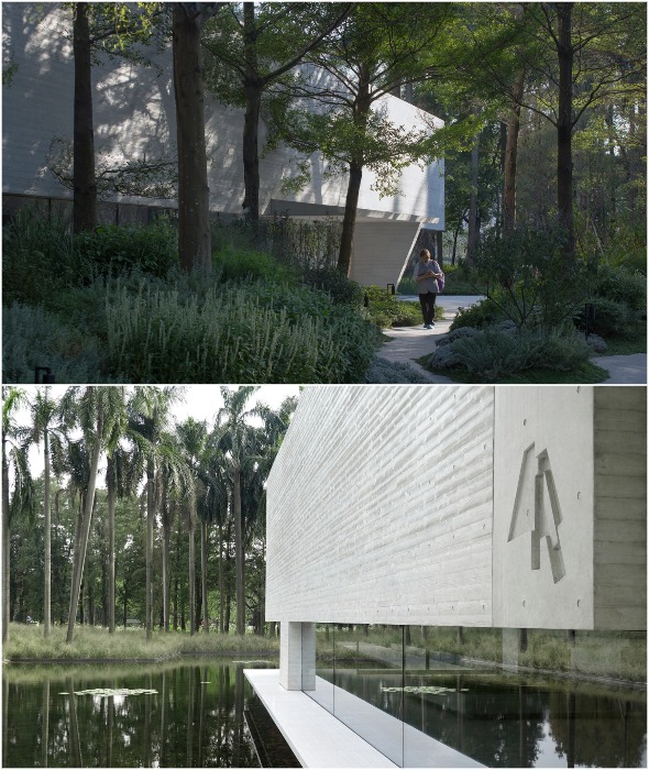 Живописное окружение.