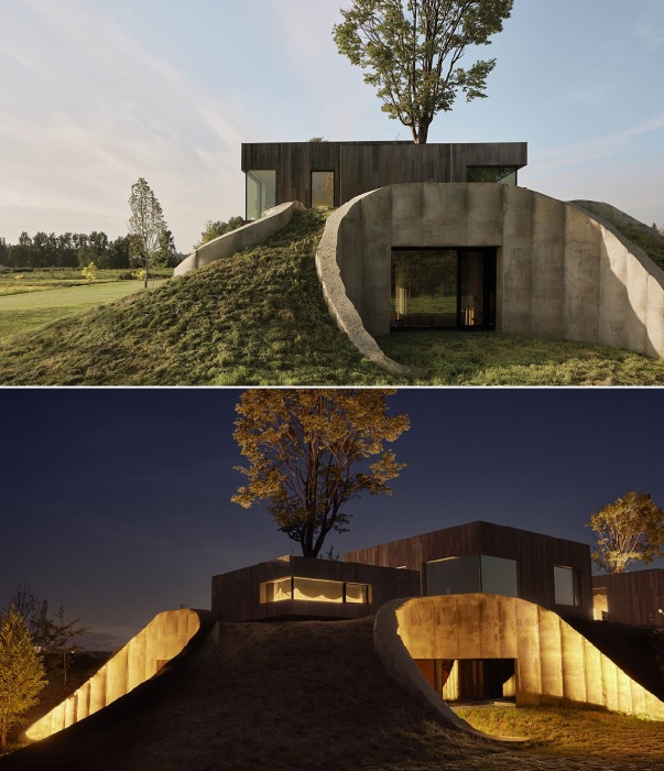 Бетонные элементы имеют органичные формы (проект «75.9», Канада).