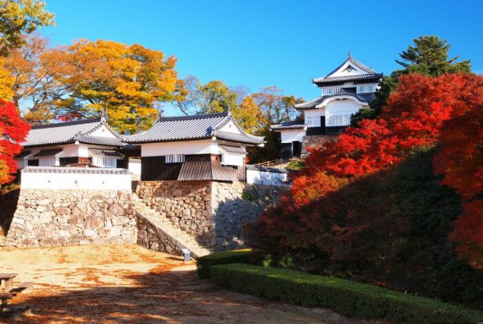 Теперь ярусы укрепительного сооружения украшают многолетние растительные композиции (Bitchu-Matsuyama Castle, Япония). | Фото: edo-tokyo.livejournal.com.